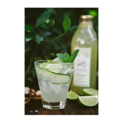 Katie Swift Cordials Lime -TABLETOP BAR STORE Katie20Swift20Cordials 2