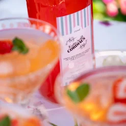 Katie Swift Cordials Strawberry & Rose -TABLETOP BAR STORE P1211867