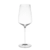 Williams-Sonoma Estate Sauvignon Blanc Wine Glass