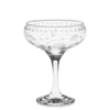Vintage Etched Coupe Glass