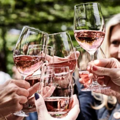 Williams Sonoma Open Kitchen Red Wine Glass -TABLETOP BAR STORE williams sonoma open kitchen red wine glass 202240 0018 open kitchen by williams sonoma red wine glasses z